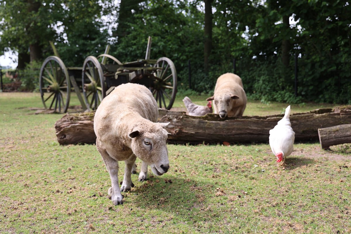 Onze serre op Zorgboerderij Klein Exterkate
